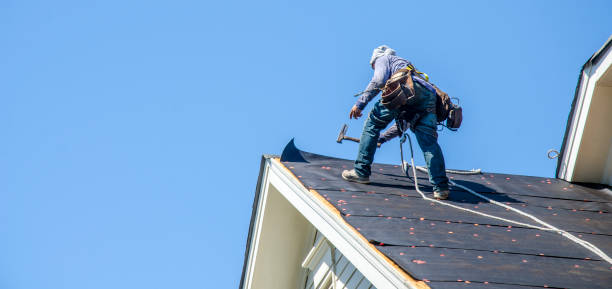 Best Gutter Installation and Roofing  in Farmersville, CA